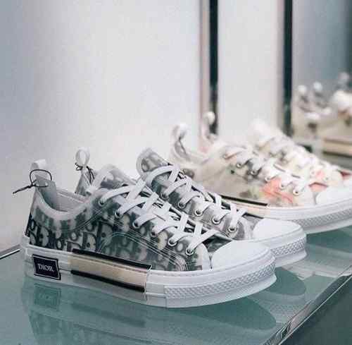 DIORR b23 oblique low top sneaker white black canvas