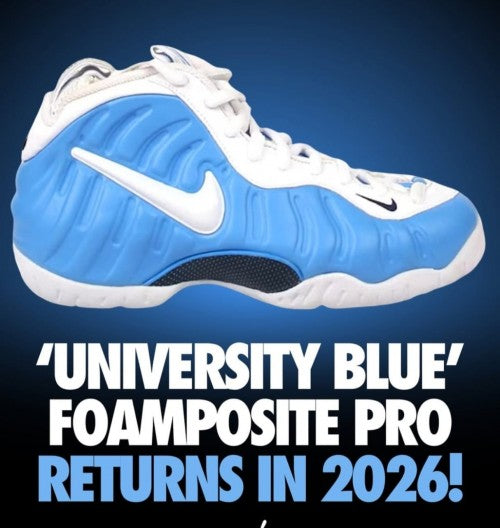 Nik_ee Air Foamposite Pro University Blue 403