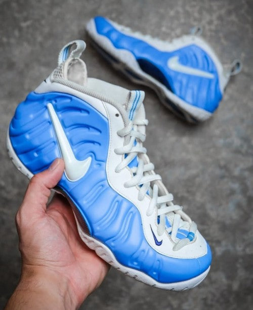 Nik_ee Air Foamposite Pro University Blue 403