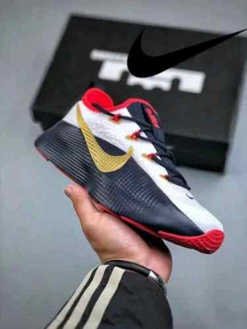 Nikee LeBron Royalty TR 1 Team USA