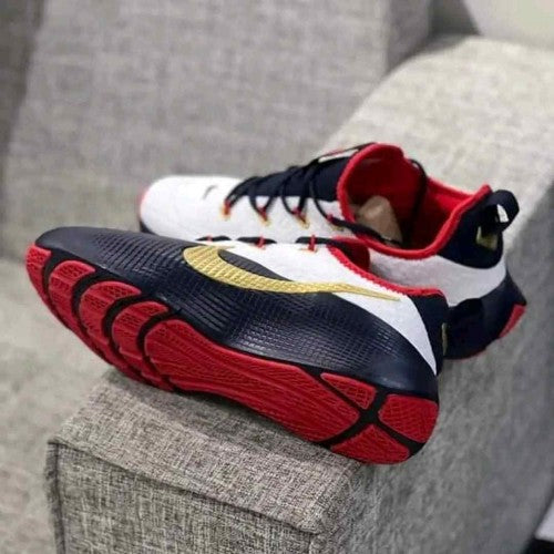 Nikee LeBron Royalty TR 1 Team USA