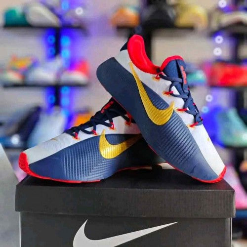 Nikee LeBron Royalty TR 1 Team USA
