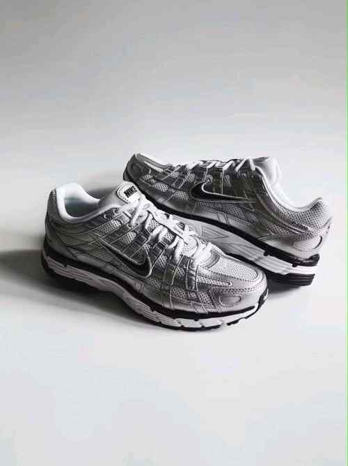 Nikee P 6000 Metallic Silver Navy