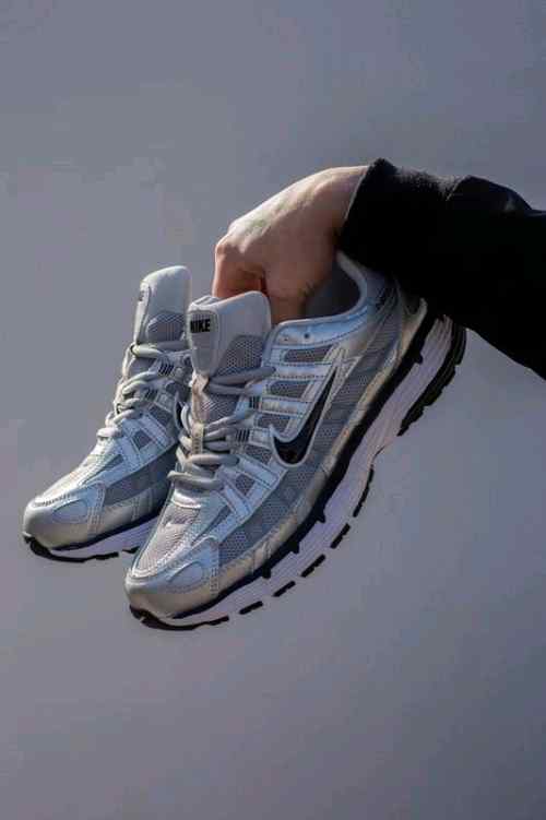 Nikee P 6000 Metallic Silver Navy